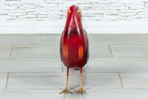 Czerwona papuga 4